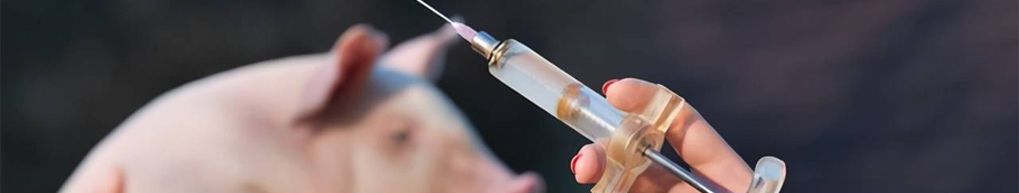 兽药造剂
